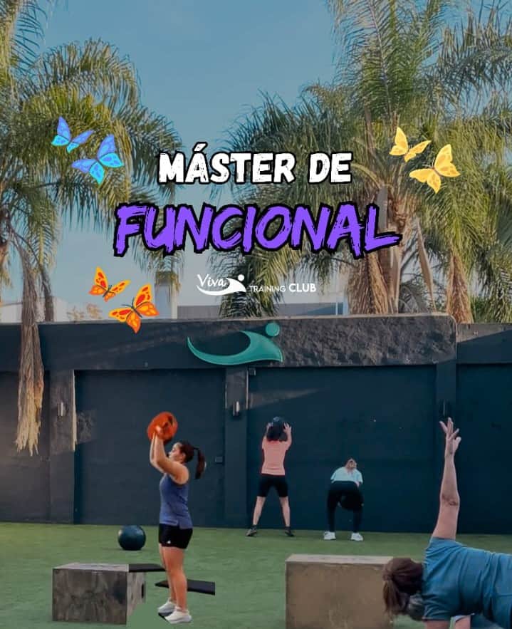 WhatsApp Image 2025-09-12 at 18.19.17