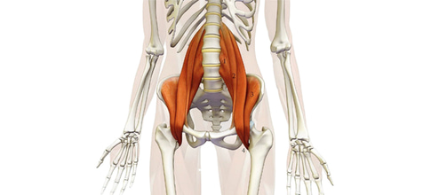 Psoas Psoas
